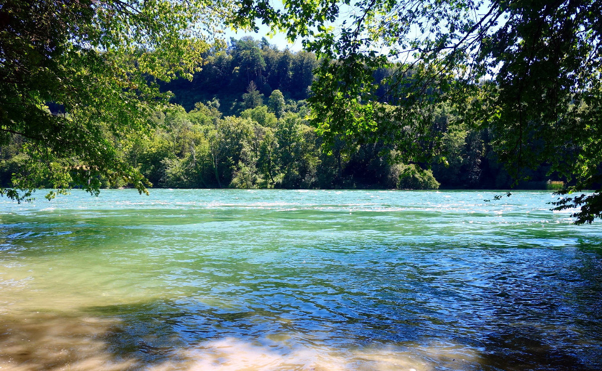 Rhein am Hochrhein